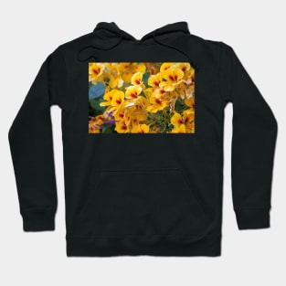 wildflowers Hoodie